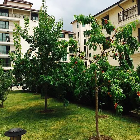 Amber Beach Apartment